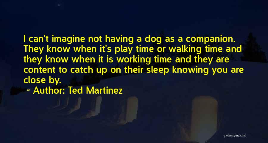 Ted Martinez Quotes 613546