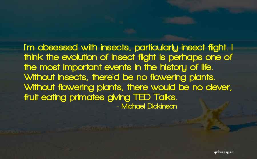 Ted Talks Life Quotes By Michael Dickinson Ted Talks Life Quotes By Michael Dickinson