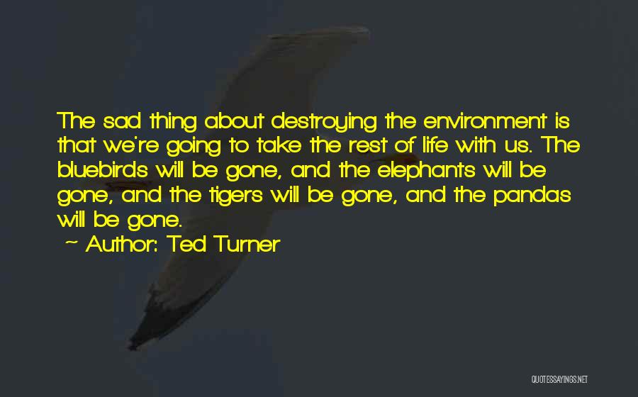 Ted Turner Quotes 267707