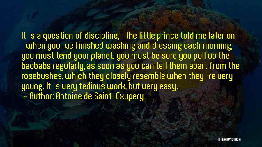 Tedious Quotes By Antoine De Saint-Exupery
