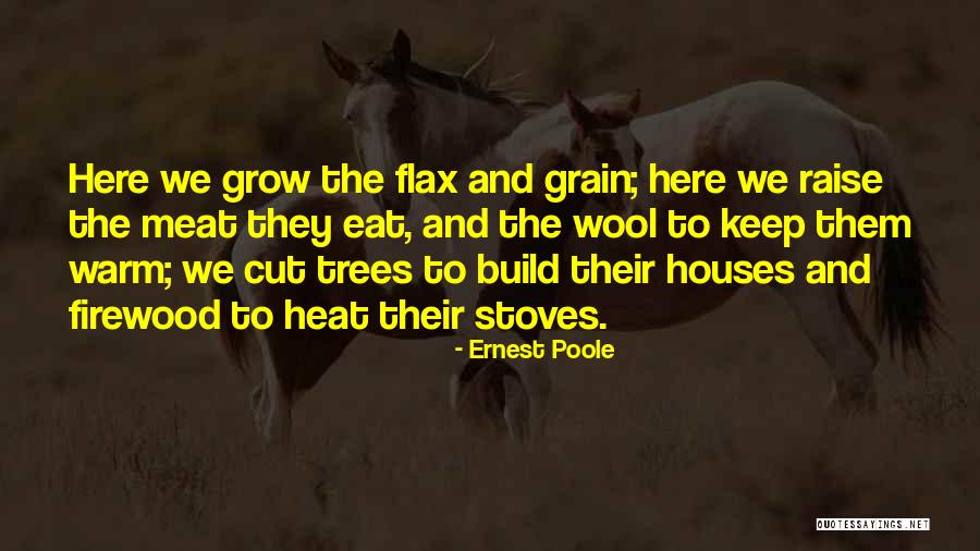Teen Fiction Writing Quotes By Ernest Poole Teen Fiction Writing Quotes By Ernest Poole