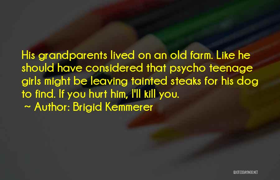 Teenage Girls Quotes By Brigid Kemmerer