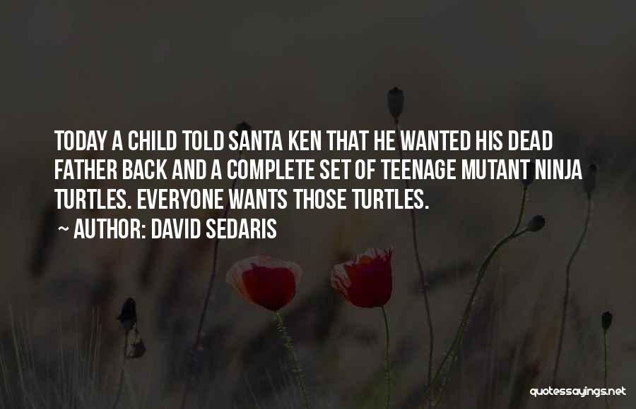 Teenage Mutant Ninja Quotes By David Sedaris