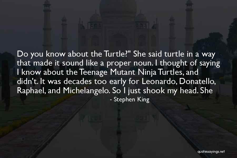 Teenage Mutant Ninja Turtles Raphael Quotes By Stephen King Teenage Mutant Ninja Turtles Raphael Quotes By Stephen King