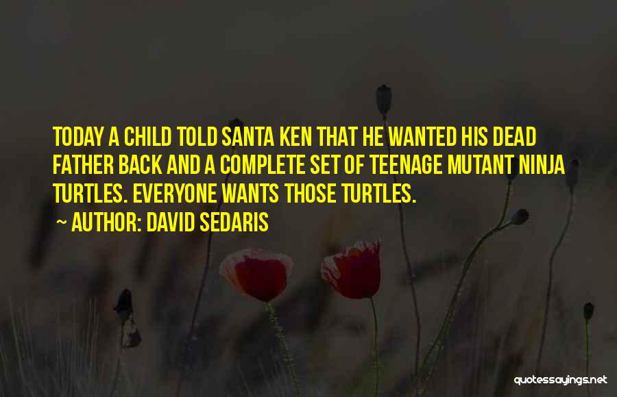 Teenage Mutant Quotes By David Sedaris