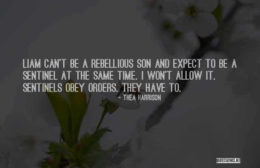 Teenage Rebellion Quotes By Thea Harrison