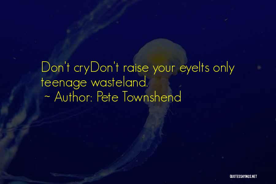 Teenage Wasteland Quotes By Pete Townshend