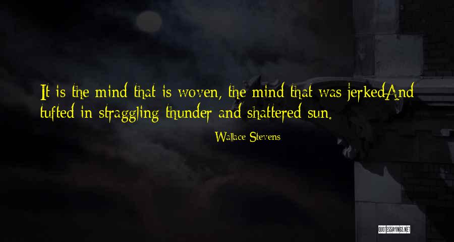 Teerlink Cabinet Quotes By Wallace Stevens Teerlink Cabinet Quotes By Wallace Stevens
