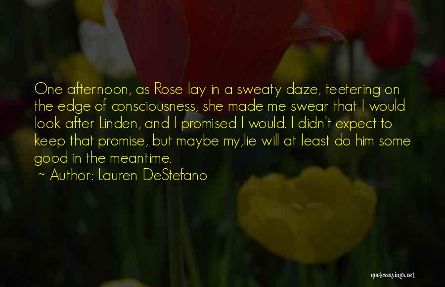 Teetering On The Edge Quotes By Lauren DeStefano