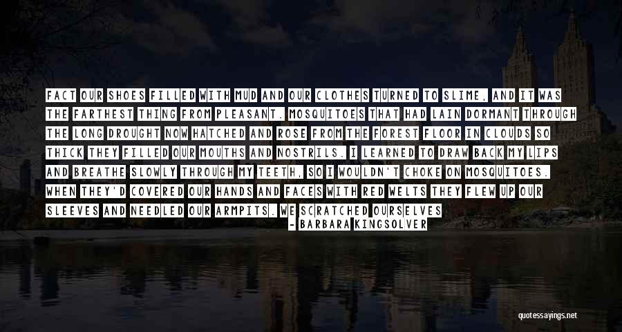 Teeth Clothes Quotes By Barbara Kingsolver Teeth Clothes Quotes By Barbara Kingsolver