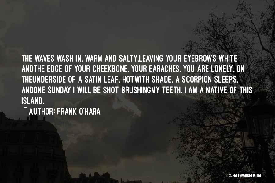 Teeth In White Teeth Quotes By Frank O'Hara