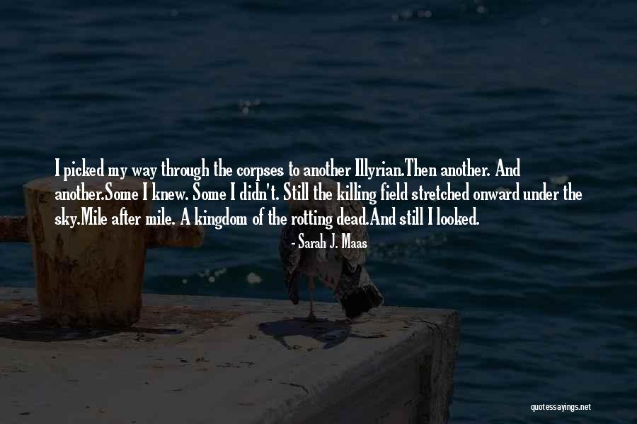 Teethy Quotes By Sarah J. Maas Teethy Quotes By Sarah J. Maas