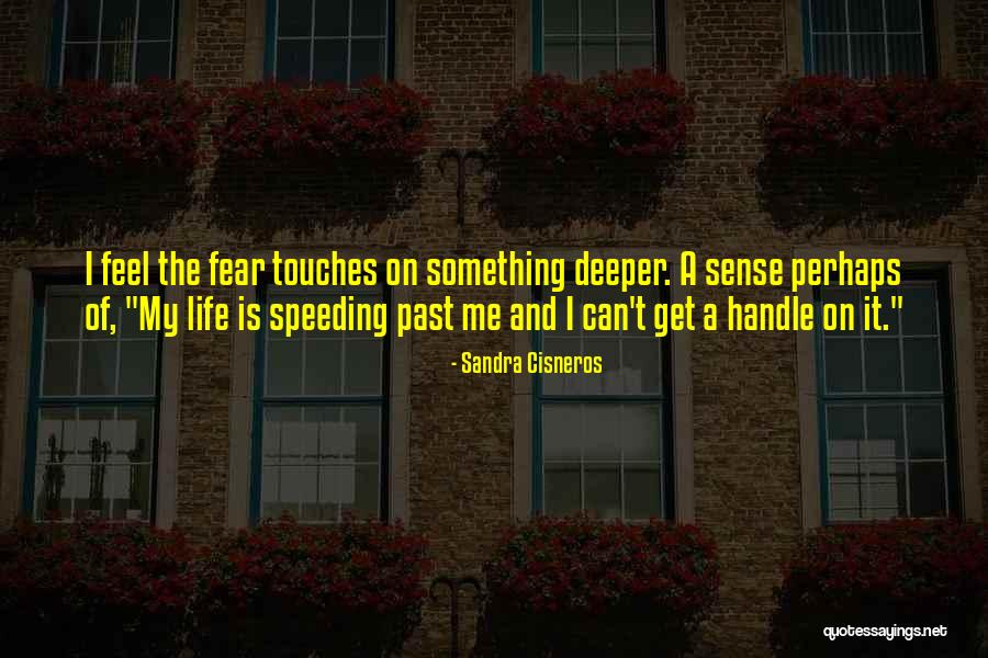 Tefen Management Quotes By Sandra Cisneros Tefen Management Quotes By Sandra Cisneros