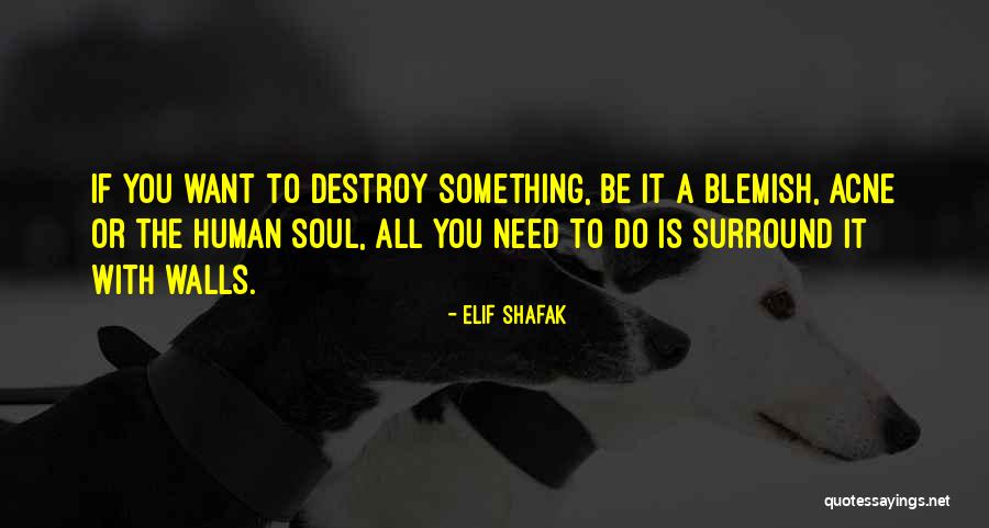 Tegernsee Bavaria Quotes By Elif Shafak Tegernsee Bavaria Quotes By Elif Shafak