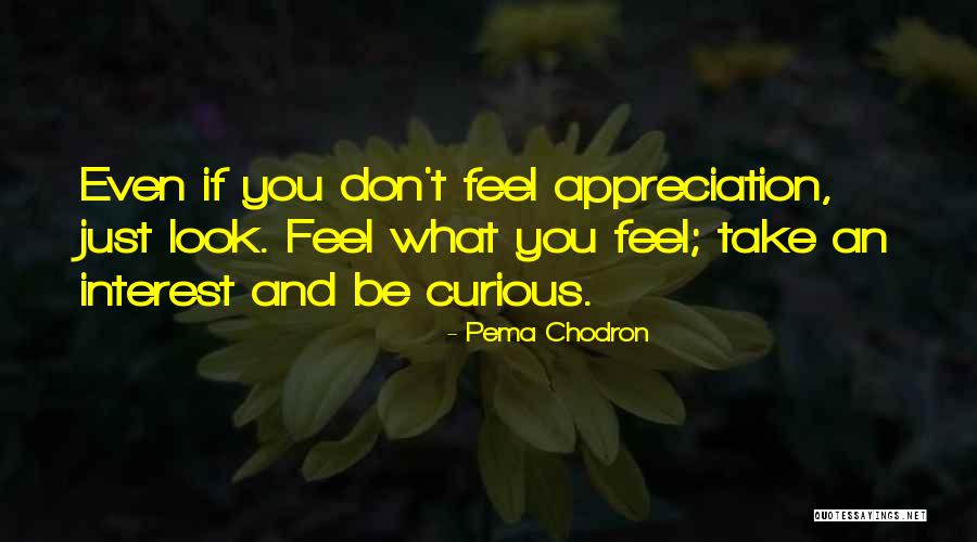 Tegernsee News Quotes By Pema Chodron Tegernsee News Quotes By Pema Chodron