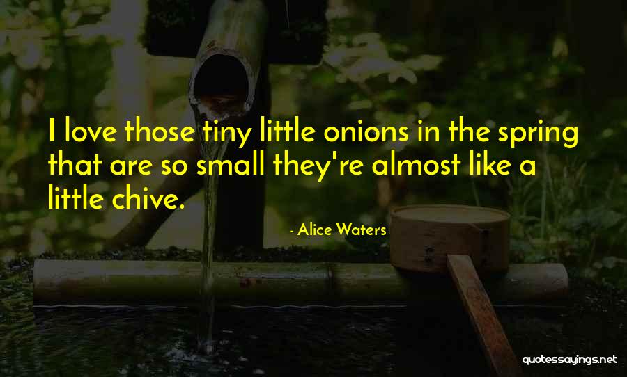 Teggart Total Kicking Quotes By Alice Waters Teggart Total Kicking Quotes By Alice Waters
