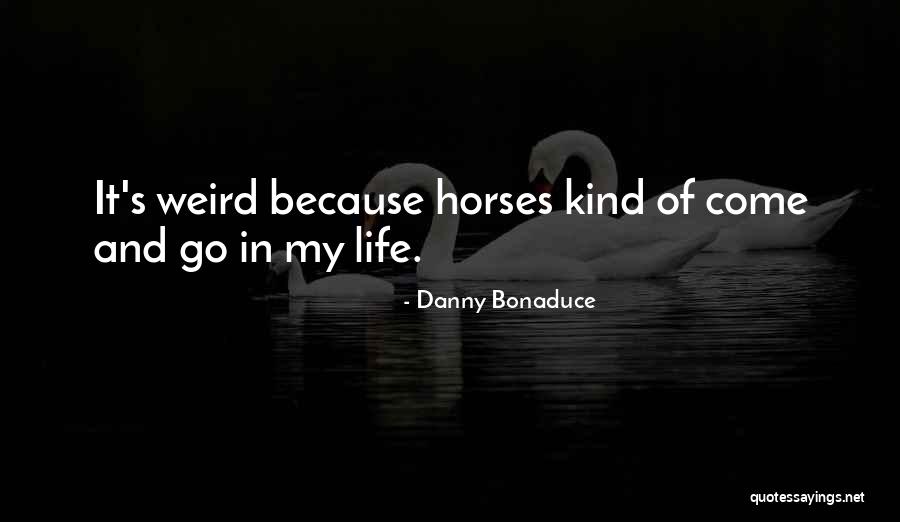 Tegner Scale Quotes By Danny Bonaduce Tegner Scale Quotes By Danny Bonaduce