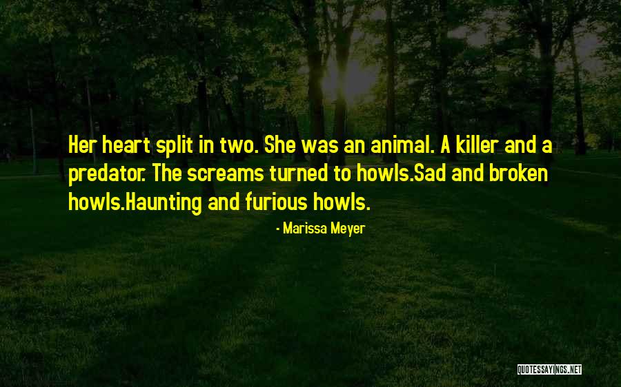 Tehanu Earthsea Quotes By Marissa Meyer Tehanu Earthsea Quotes By Marissa Meyer