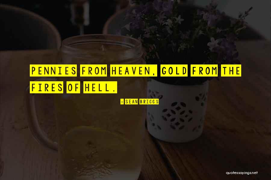 Tehila Tsour Quotes By Sean Briggs Tehila Tsour Quotes By Sean Briggs