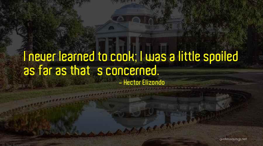 Tehri Dam Quotes By Hector Elizondo