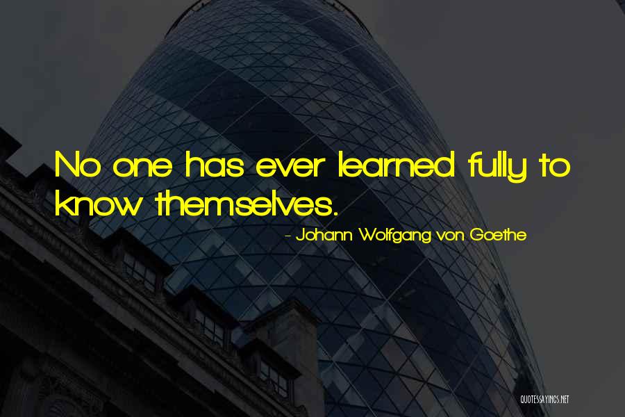 Teidi Quotes By Johann Wolfgang Von Goethe Teidi Quotes By Johann Wolfgang Von Goethe