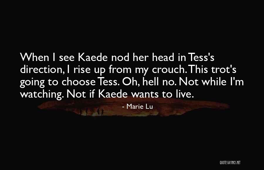 Teilchenphysik Quotes By Marie Lu Teilchenphysik Quotes By Marie Lu
