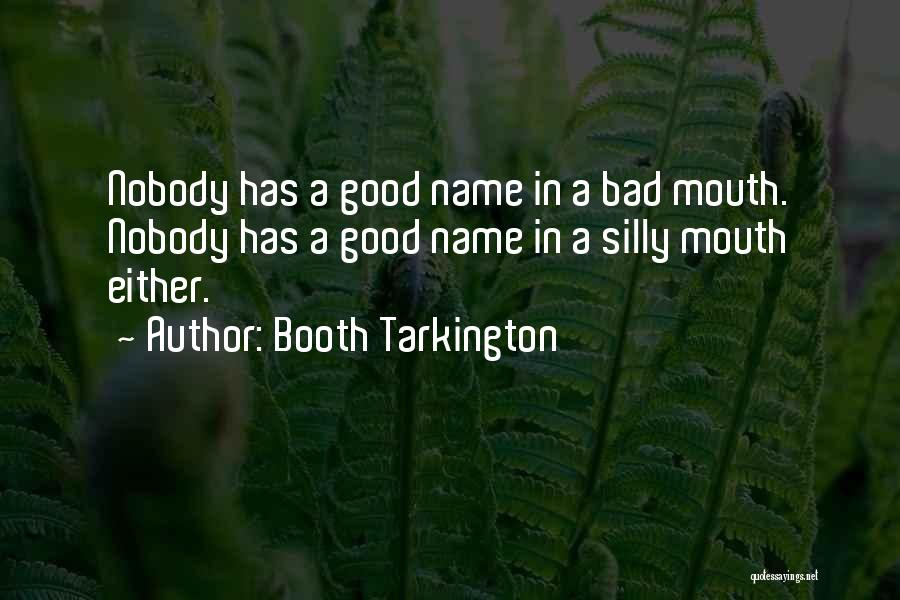 Teilchenzoo Quotes By Booth Tarkington