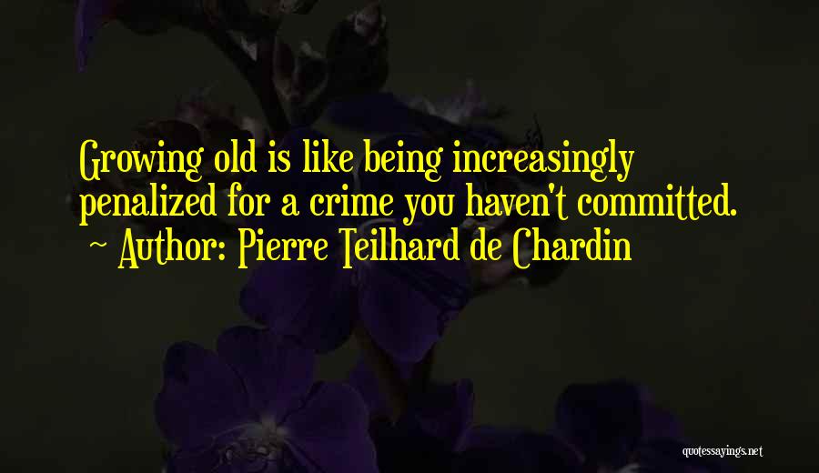 Teilhard Quotes By Pierre Teilhard De Chardin