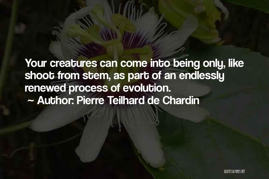 Teilhard Quotes By Pierre Teilhard De Chardin