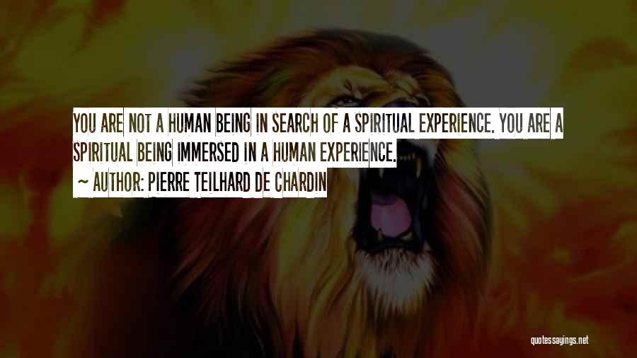 Teilhard Quotes By Pierre Teilhard De Chardin