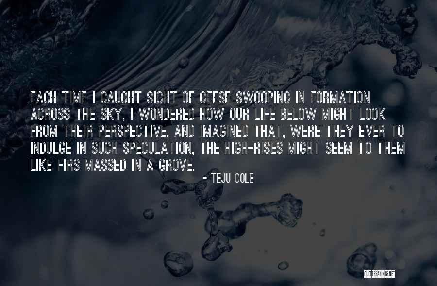 Teju Cole Quotes 734441