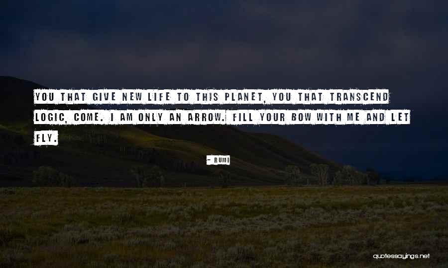 Tekah Airport Quotes By Rumi Tekah Airport Quotes By Rumi