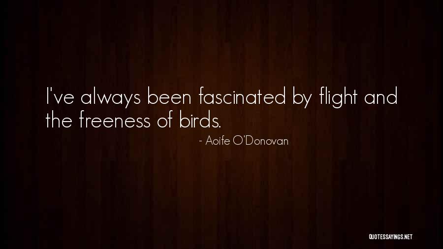 Tekinel Quotes By Aoife O'Donovan Tekinel Quotes By Aoife O'Donovan