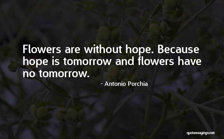 Telal Sokhna Quotes By Antonio Porchia Telal Sokhna Quotes By Antonio Porchia