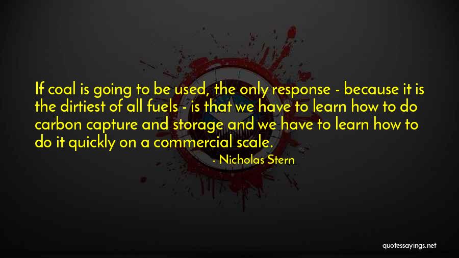 Telangana Movement Quotes By Nicholas Stern Telangana Movement Quotes By Nicholas Stern