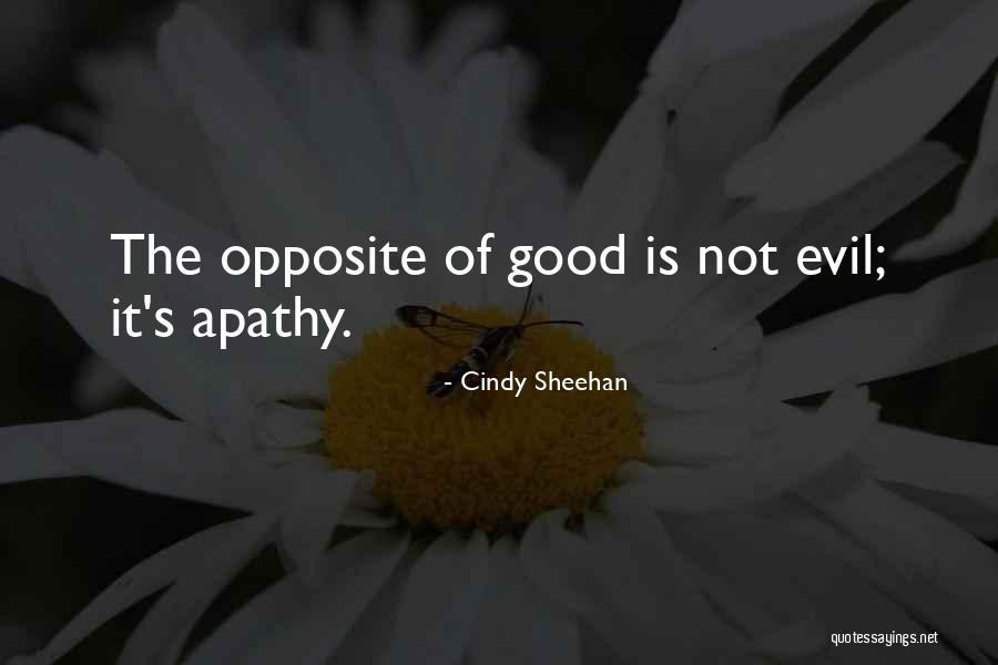 Telecopy Stationery Quotes By Cindy Sheehan Telecopy Stationery Quotes By Cindy Sheehan
