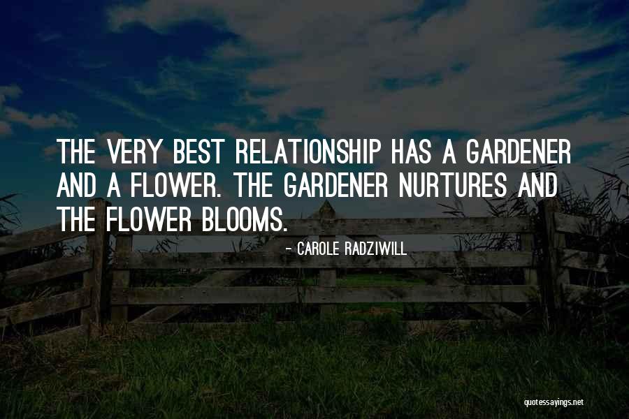 Telefilms Quotes By Carole Radziwill Telefilms Quotes By Carole Radziwill