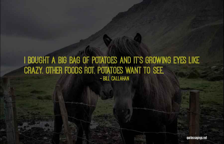 Telegraphy Quotes By Bill Callahan Telegraphy Quotes By Bill Callahan