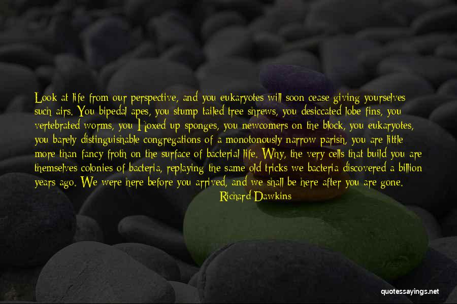 Telemarketer Script Quotes By Richard Dawkins Telemarketer Script Quotes By Richard Dawkins