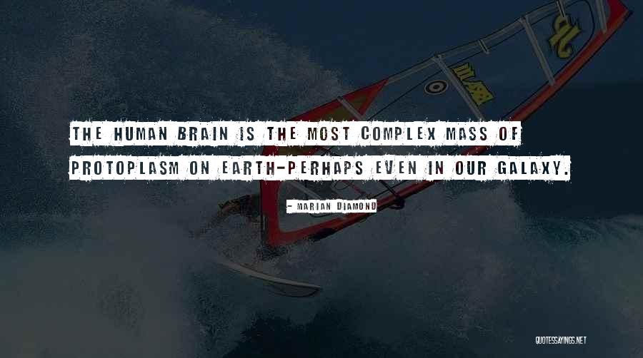 Telepantasya Quotes By Marian Diamond Telepantasya Quotes By Marian Diamond