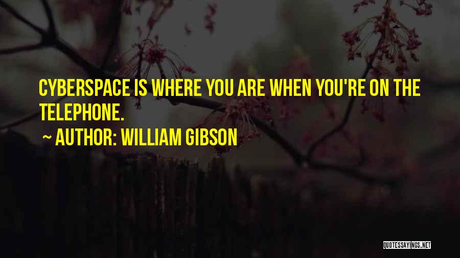Telephones Quotes By William Gibson