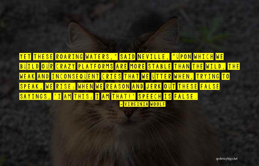 Telerik Code Quotes By Virginia Woolf