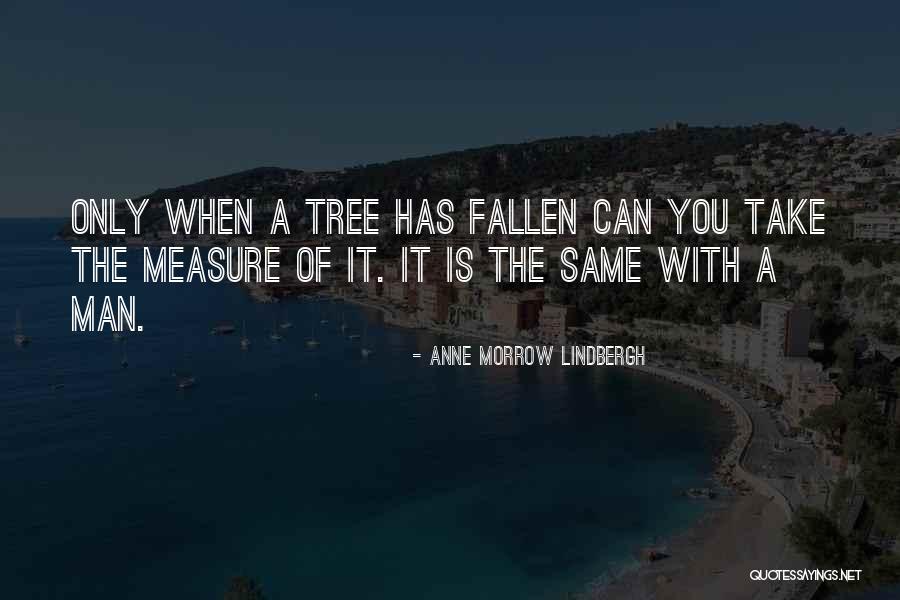 Teleurstelling Synoniemen Quotes By Anne Morrow Lindbergh Teleurstelling Synoniemen Quotes By Anne Morrow Lindbergh