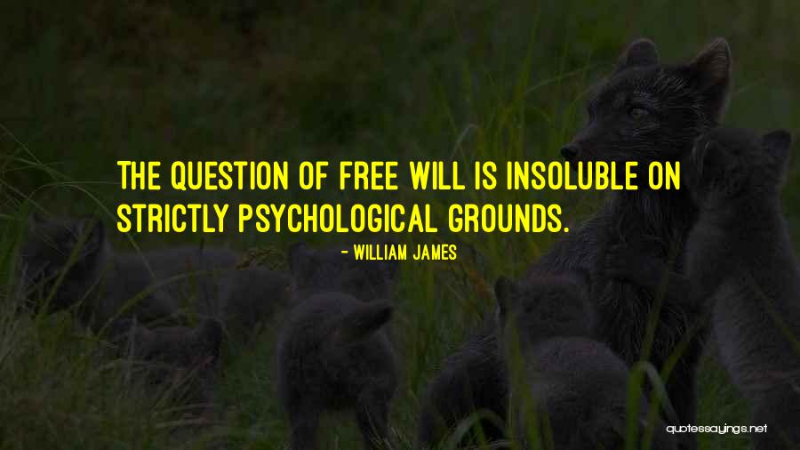 Televiseur Panasonic Quotes By William James Televiseur Panasonic Quotes By William James