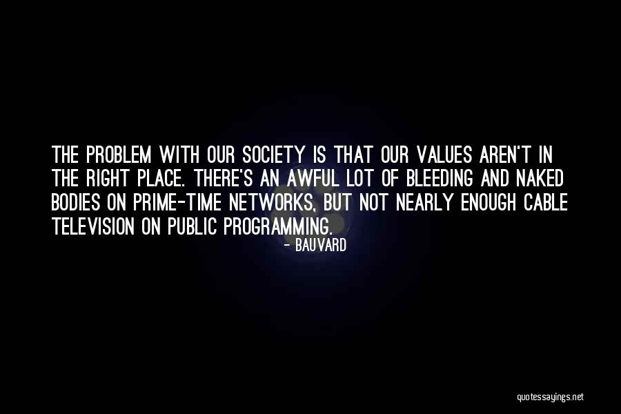 Television And Society Quotes By Bauvard