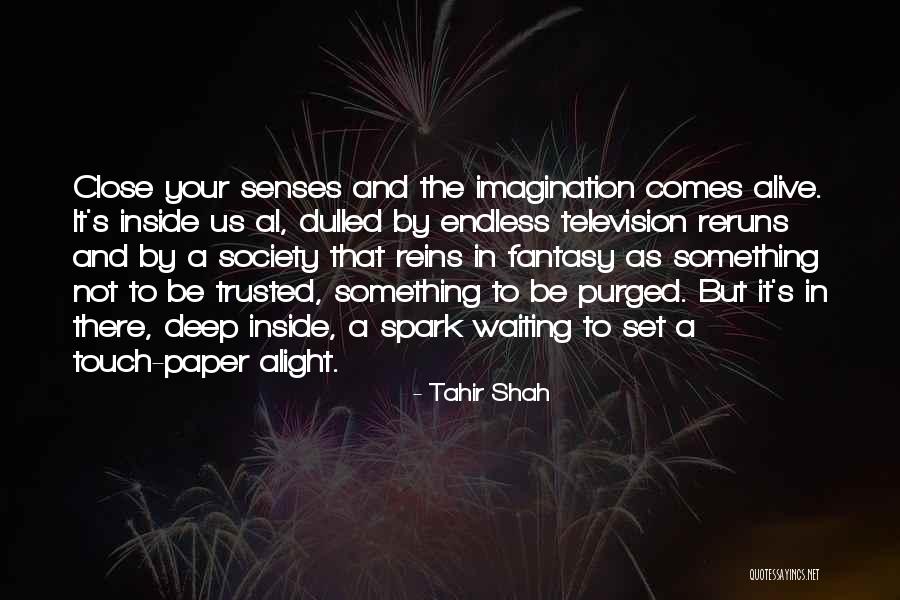 Television And Society Quotes By Tahir Shah