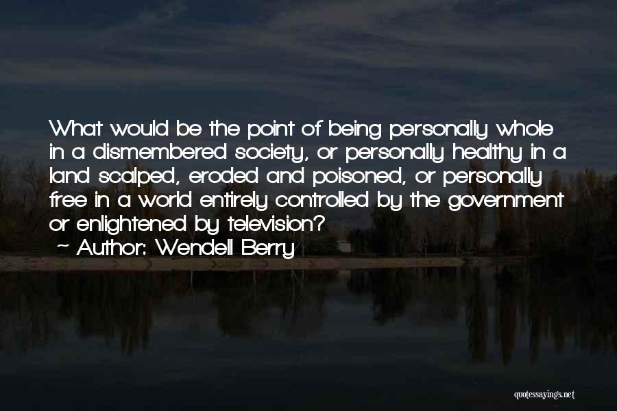 Television And Society Quotes By Wendell Berry