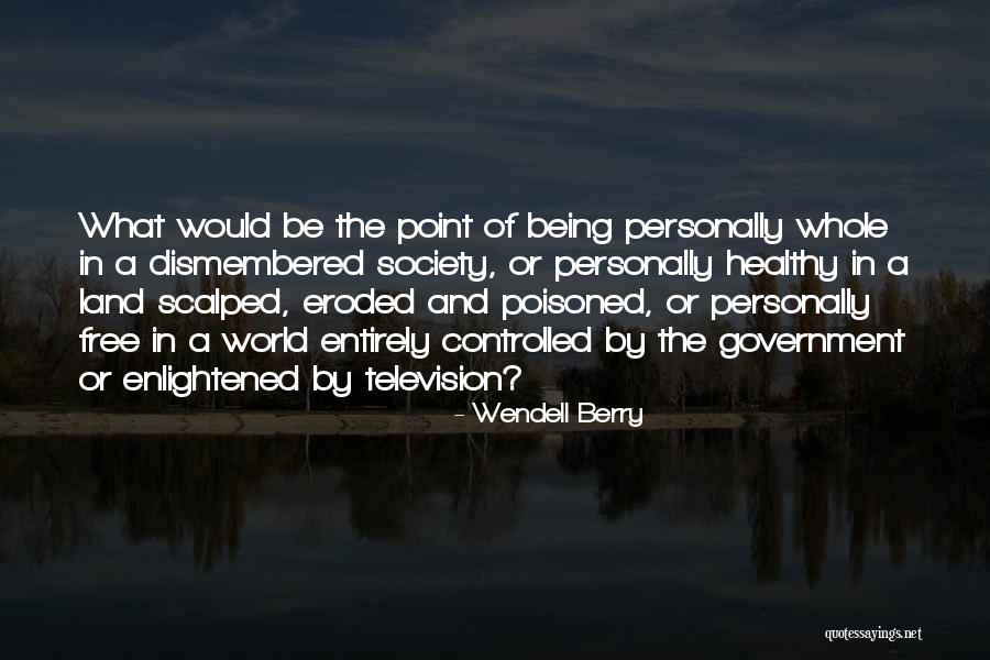 Television And Society Quotes By Wendell Berry