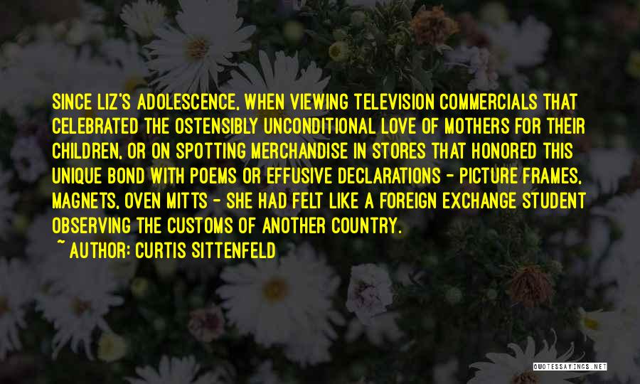 Television Commercials Quotes By Curtis Sittenfeld