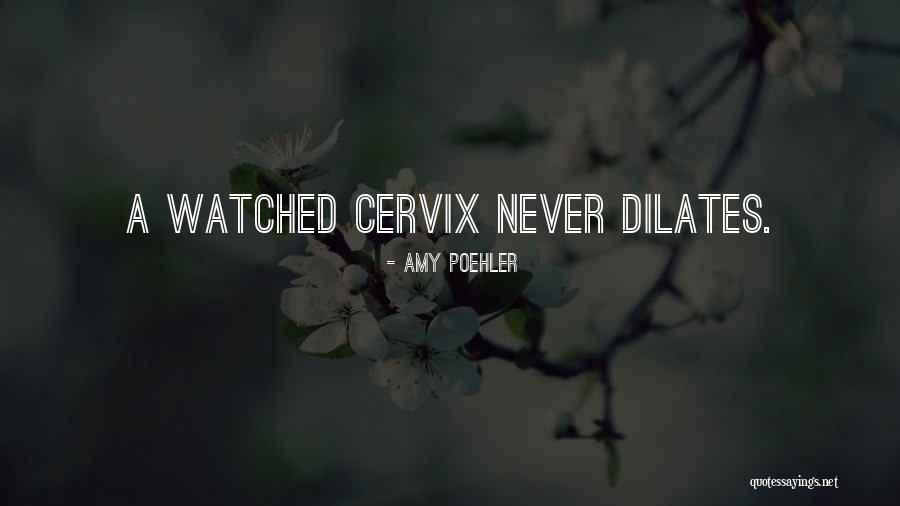 Telikos Bachelor Quotes By Amy Poehler Telikos Bachelor Quotes By Amy Poehler